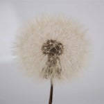 Crystal Ball Mold Diy Round Ball Night Light Silicone Mold Silicone Epoxy Resin Mold Led Night Light Lamp Holder Bottle Mold