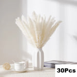 Pampas Set Decoration Fluffy Natural Grass Dried Flowers - 100Pcs/lot