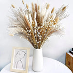 Modern Grass Dried Natural Fluffy Pompas Flowers - 80Pcs
