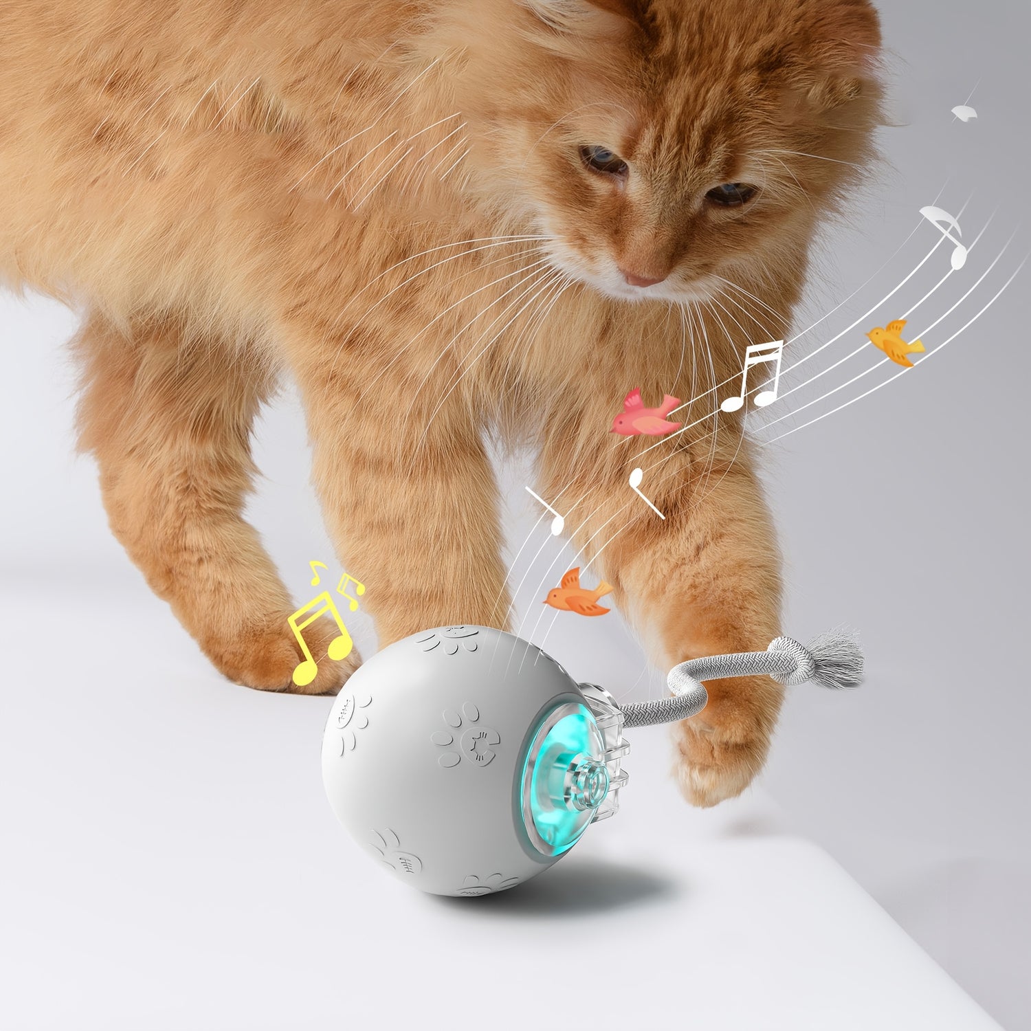 [1pc Interactive Cat Ball Toy] 1pc Interactive Automatic Cat Ball Toy with Tail & Bird Call Sounds, USB Rechargeable, Plastic, Suitable for Chinchillas, Hamsters, and House Cats - Random Rolling Pet Entertainment
