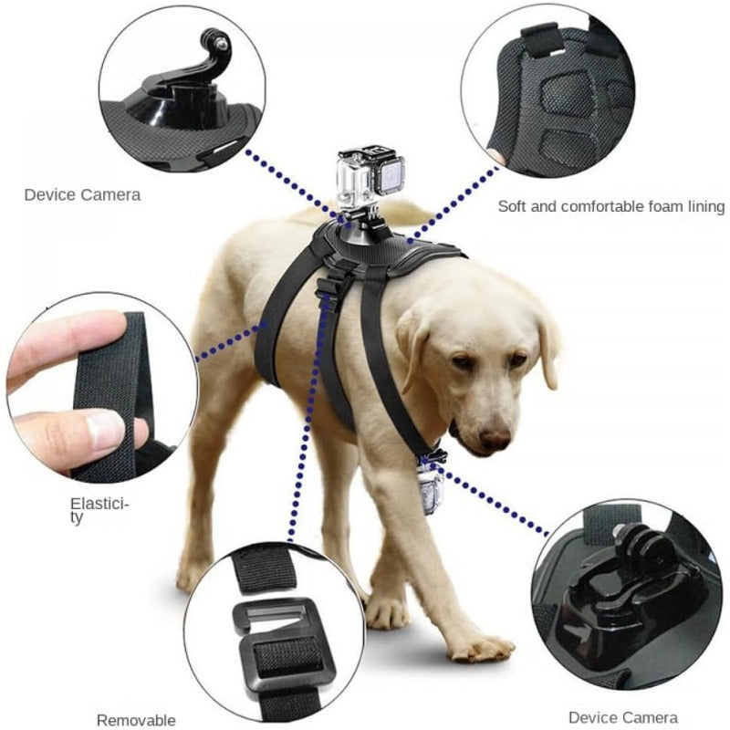 Multifunctional Pet Photography Harness for GoPro & DJI Osmo Pocket, Adjustable for Small, Medium, and Large Dogs, Ideal for Pet Photography Enthusiasts