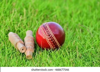 cricket-ball-bails-on-grass-260nw-468677546