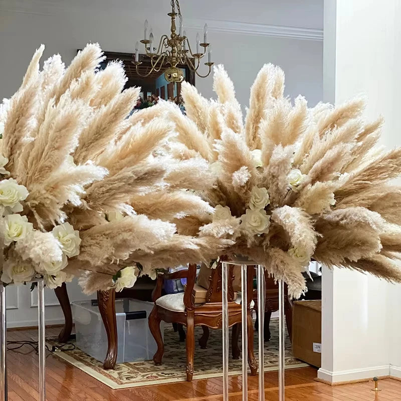 Natural Fluffy Large Dried Pampas Grass - 50-60cm