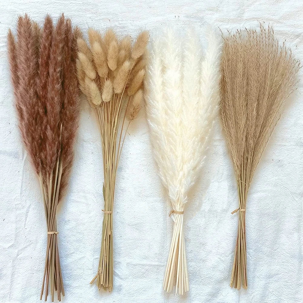 Pampas Set Decoration Fluffy Natural Grass Dried Flowers - 100Pcs/lot