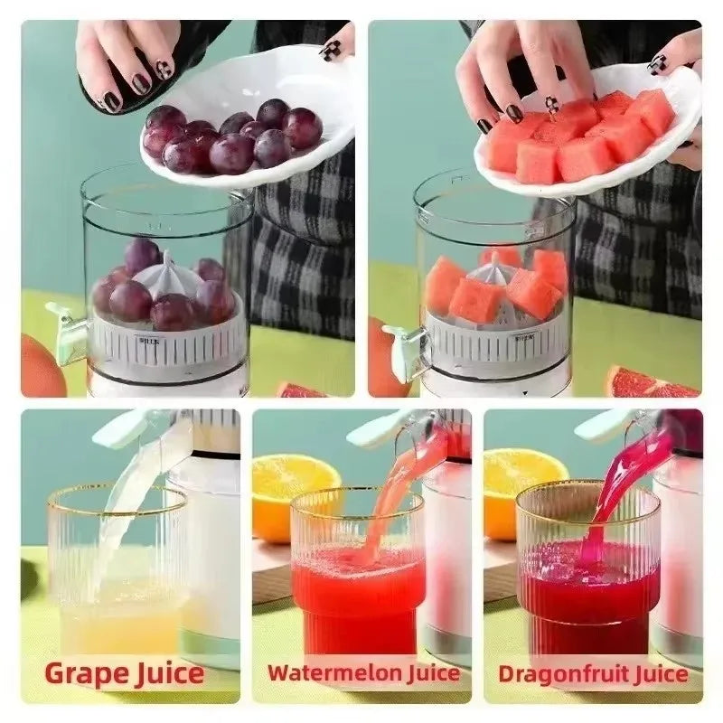 Extractor Fully Automatic Fruit Juicer