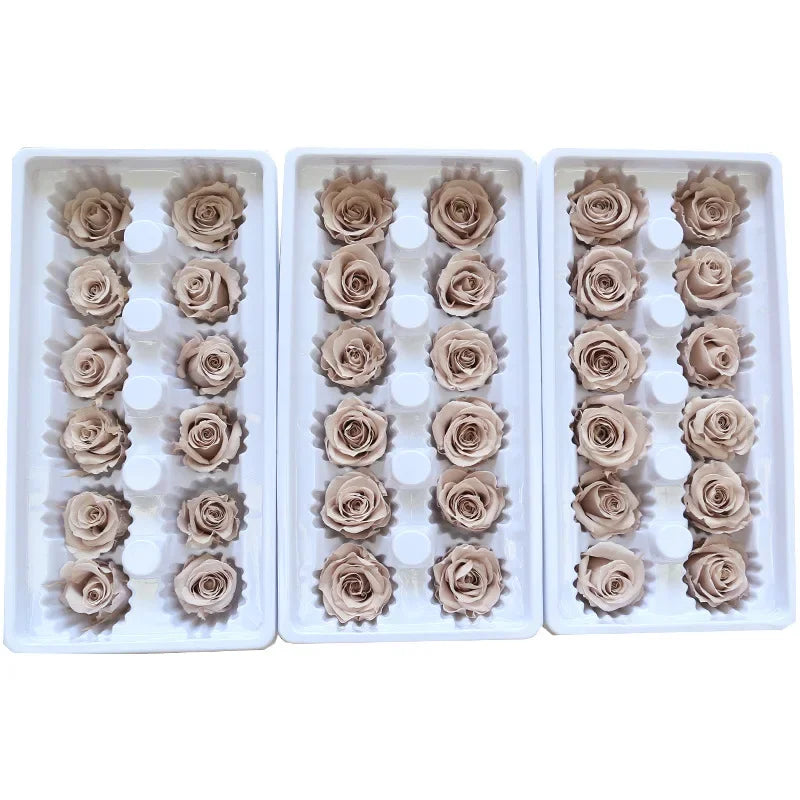 Grade B 21PCS 2-3cm Mini Preserved Roses Heads Eternal Rose Gift Wedding Party DIY Material Preserved Roses Home Dried Flowers