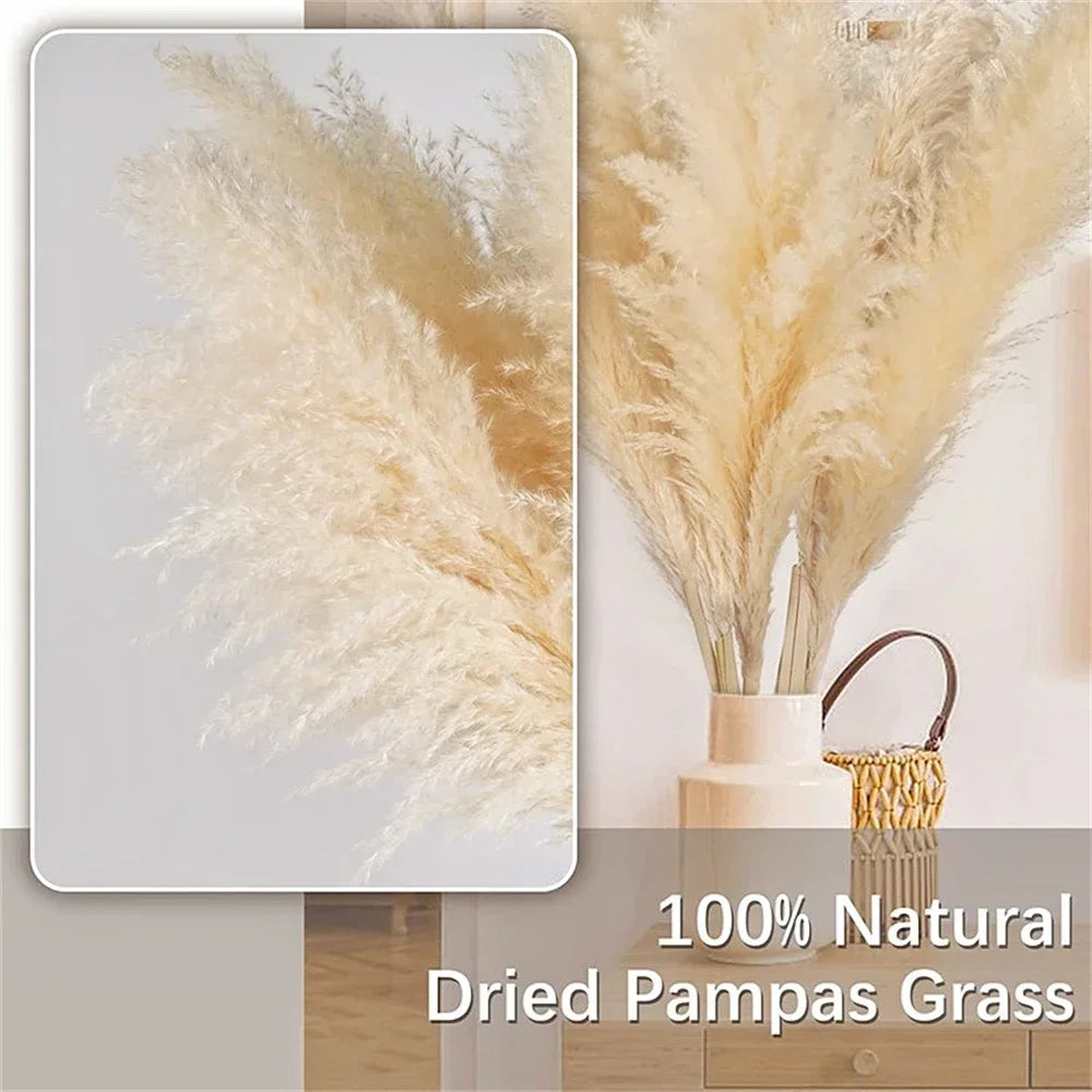 Pampas Dried Boho Decor Flower - 80-120cm