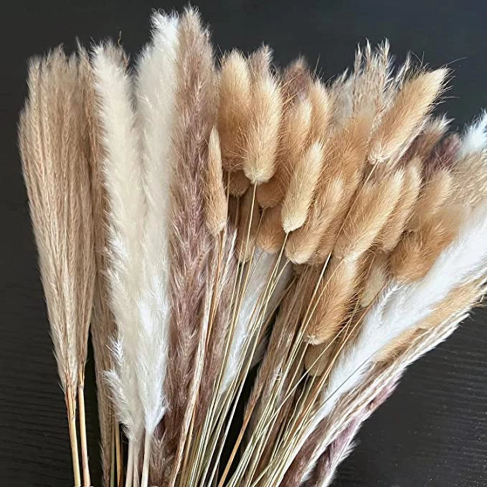 Pampas Set Decoration Fluffy Natural Grass Dried Flowers - 100Pcs/lot
