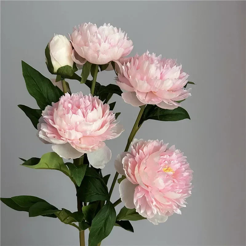 Artificial Peony Flowers - 75cm, 3 Heads