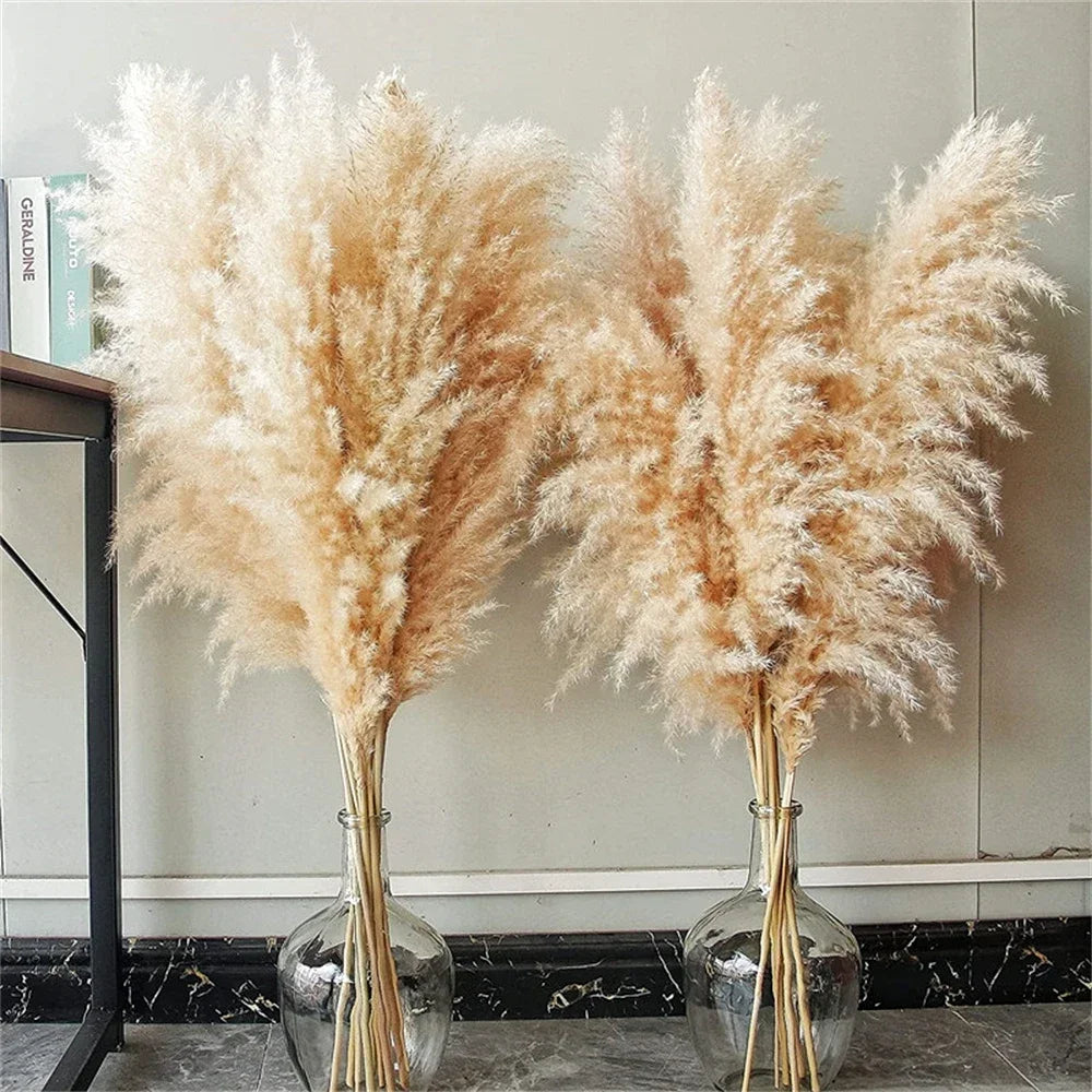 Pampas Dried Boho Decor Flower - 80-120cm