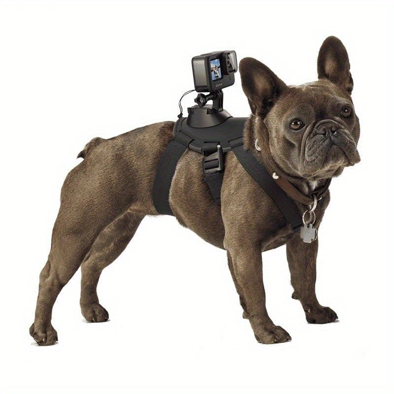 Multifunctional Pet Photography Harness for GoPro & DJI Osmo Pocket, Adjustable for Small, Medium, and Large Dogs, Ideal for Pet Photography Enthusiasts