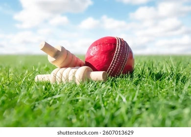 cricket-ball-bails-on-green-260nw-2607013629